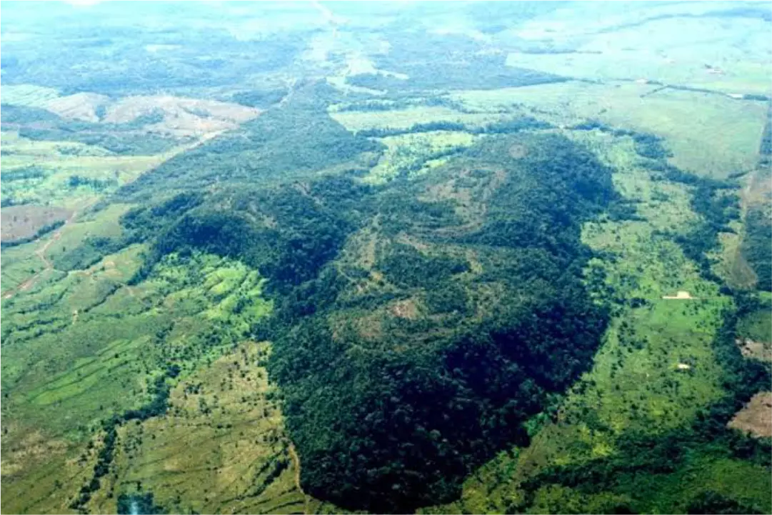A descoberta de enigmáticas pirâmides de terra nas matas de Rondônia 2 piramide%20rondonia
