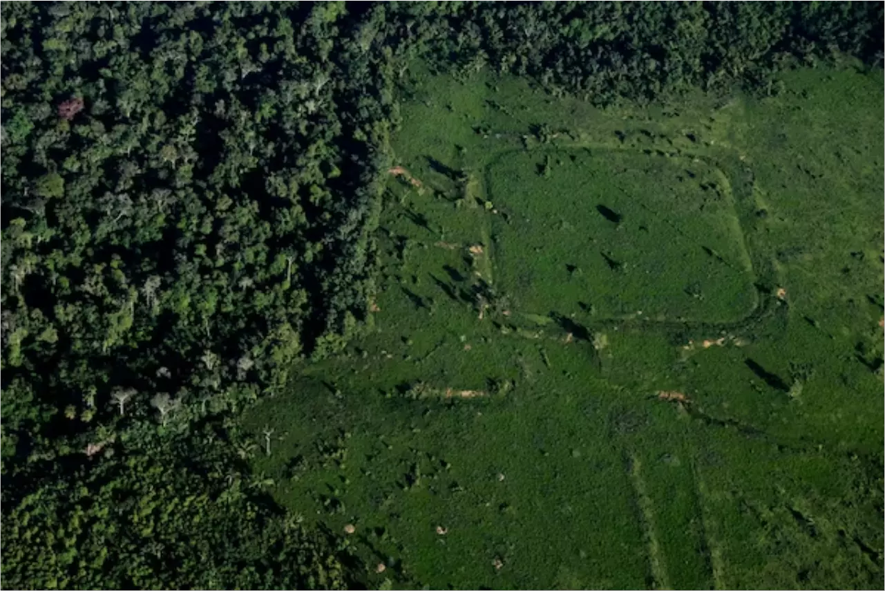 amazonia%20sitios