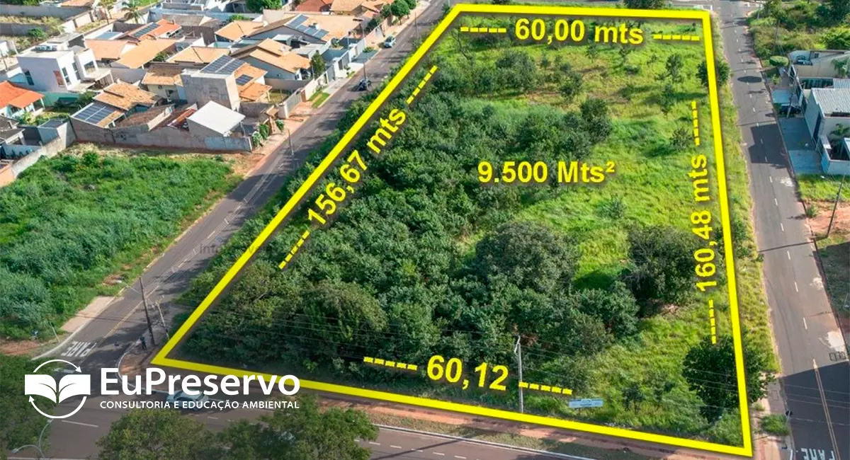 Terreno com vegetação: como construir minha residência? Terreno com vegetação: como construir minha residência?