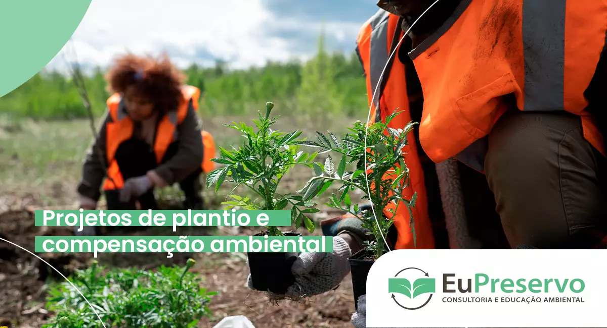 Projetos de plantio e compensação ambiental: o que sua empresa precisa saber Projetos de plantio e compensação ambiental: o que sua empresa precisa saber