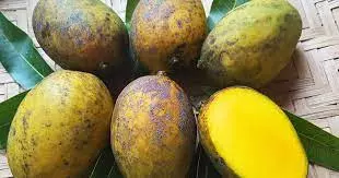 Imagem Segundaria do Produto