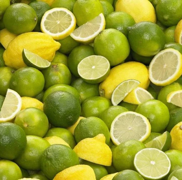 Imagem Segundaria do Produto