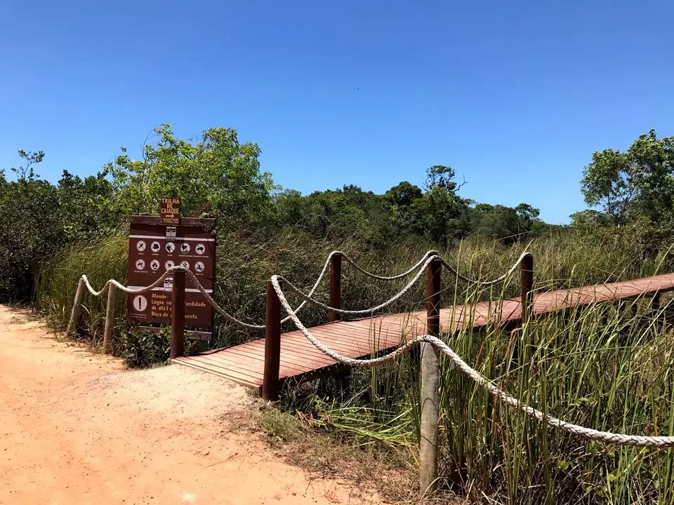 Guarapari: Trilhas do Parque Estadual Paulo César Vinha estarão fechadas para visitação na manhã de segunda-feira (27)