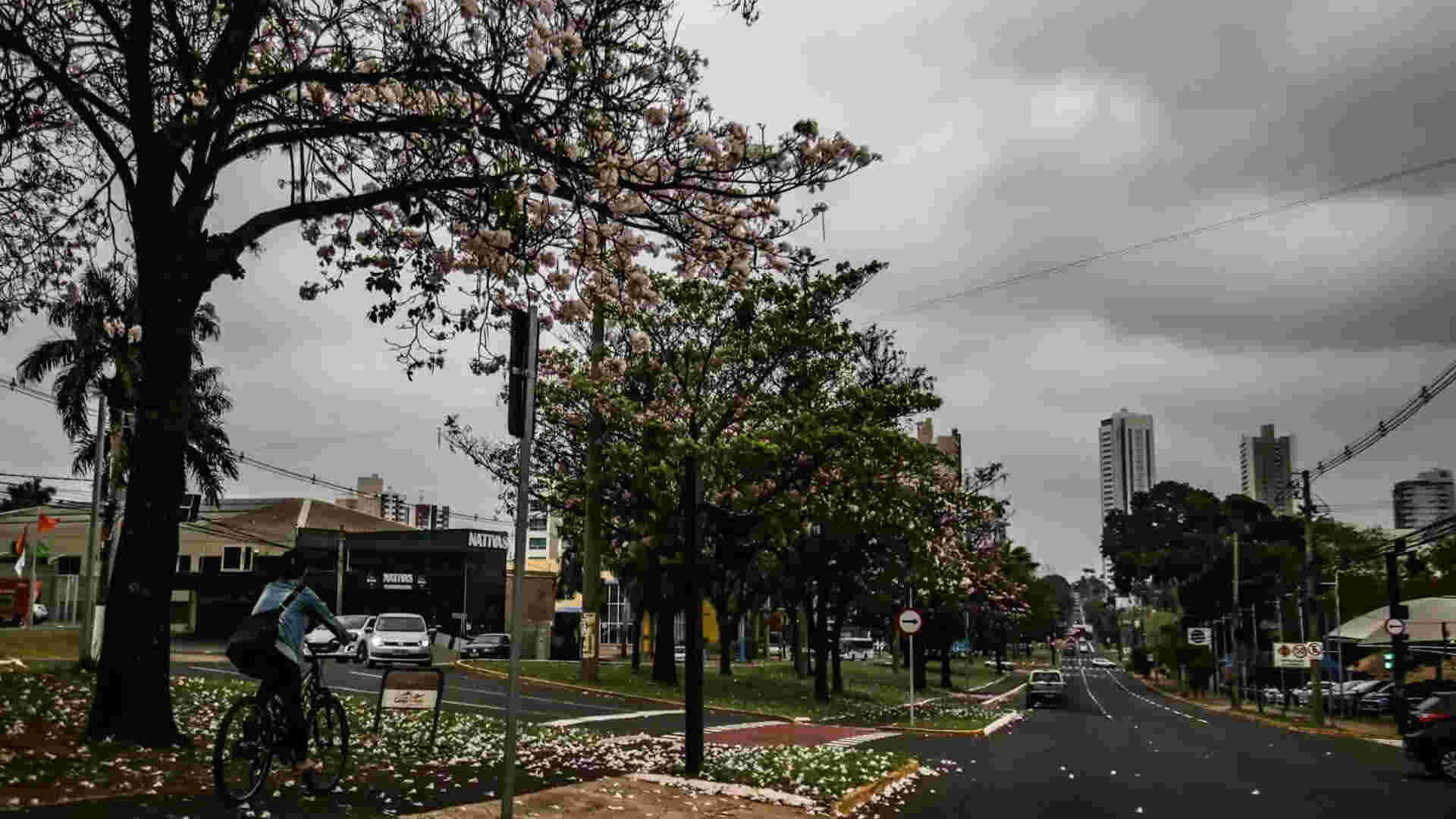 Checklist do outono: saiba como se preparar para os dias de temperaturas amenas em MS