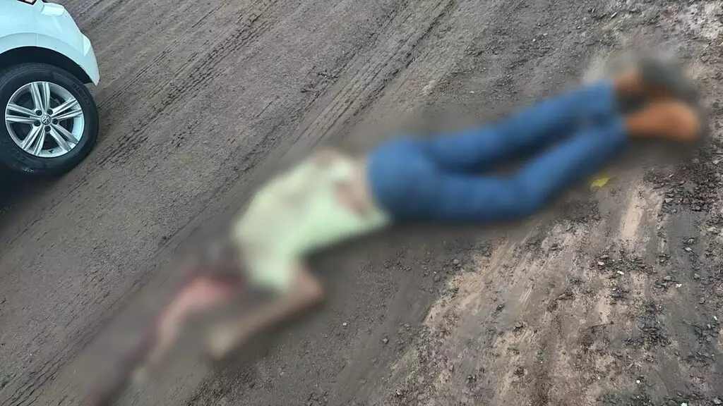 Homem é encontrado morto com cabeça esmagada às margens da BR-262 em Ribas do Rio Pardo