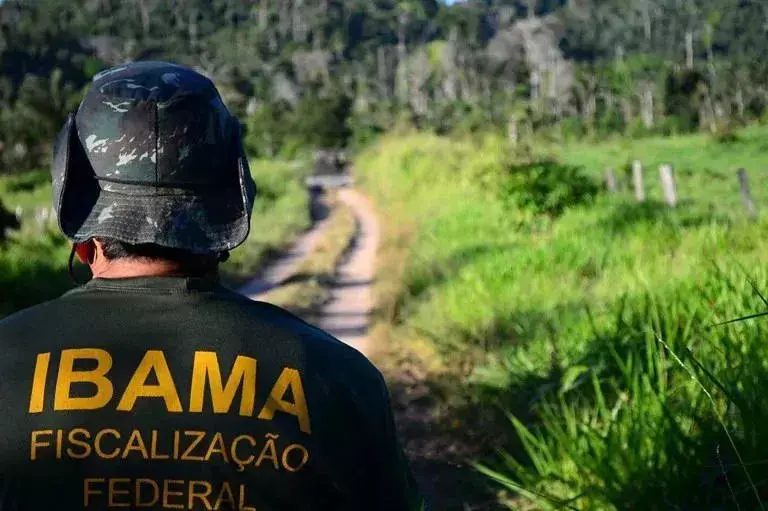 Ibama Abre Concurso Público com 460 Vagas e Salários de até R$ 9,9 Mil