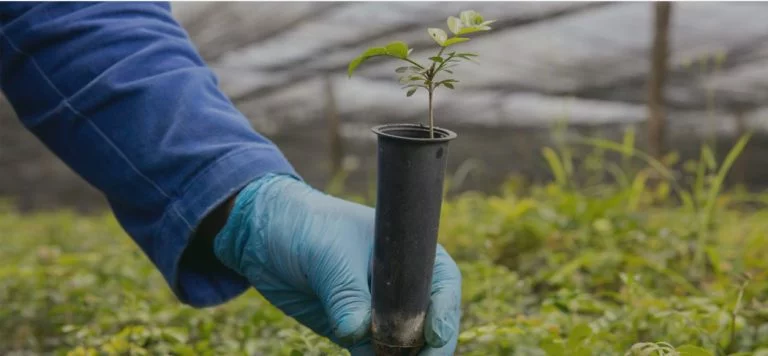 Centroflora abre vagas de emprego em Botucatu: confira as oportunidades