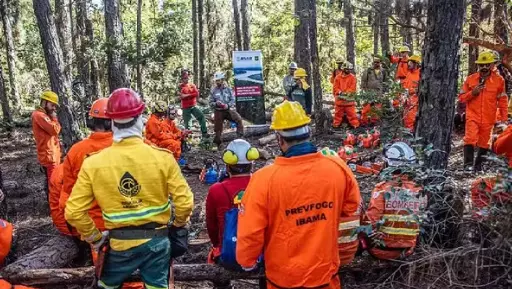 Trump suspende parceria EUA-Brasil para combate a incêndios florestais