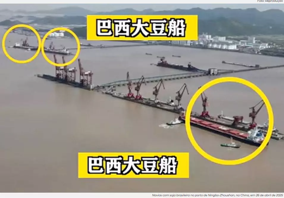 Soja brasileira toma a China: EUA ficam a ver navios
