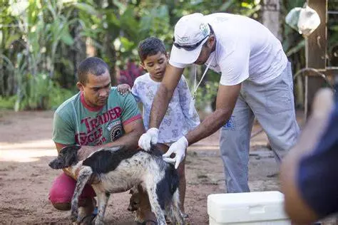 Após seis casos de leishmaniose em cães, Botucatu amplia investigação e inicia ações no Jardim Cristina