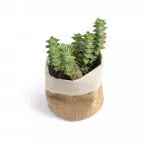 Imagem Segundaria do Produto