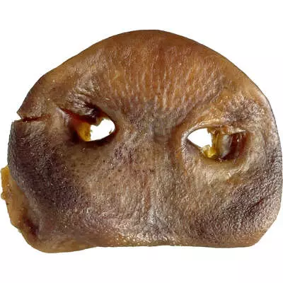 Imagem Segundaria do Produto