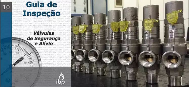 Guia 10 – IBP