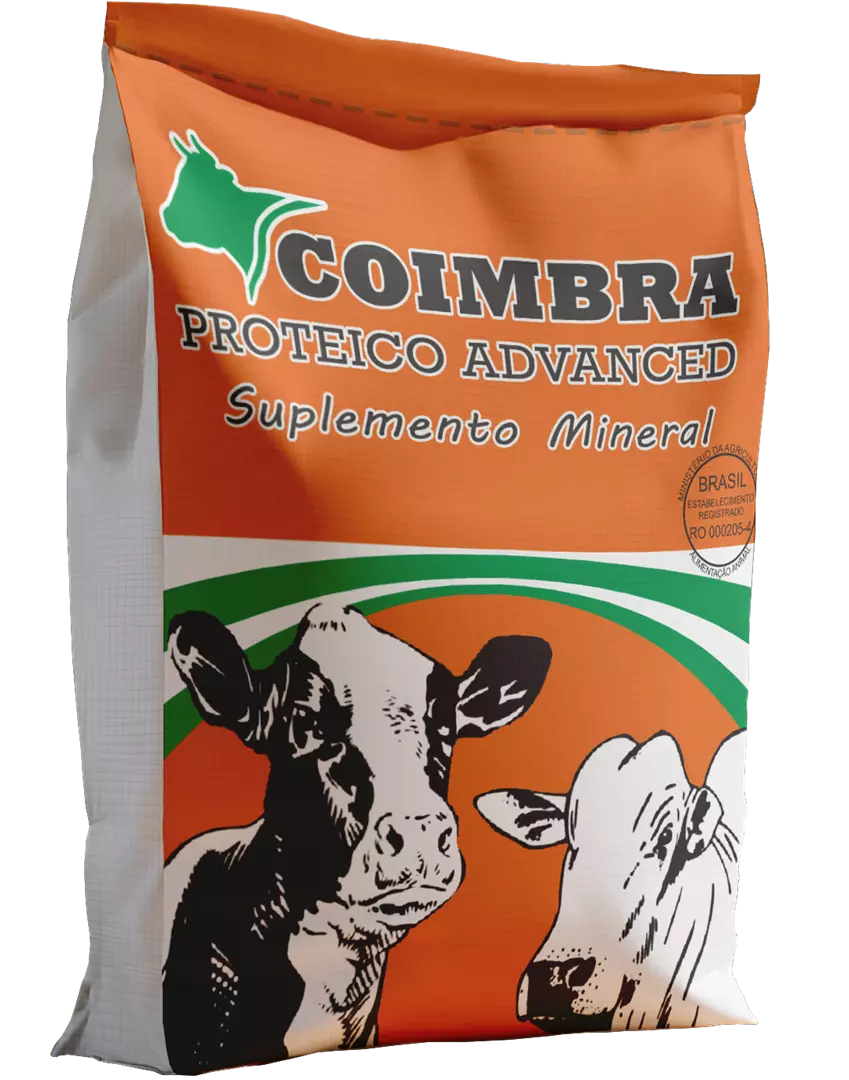 COIMBRA ADVANCED