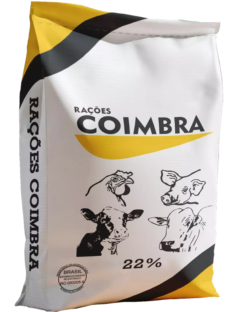 COIMBRA 22 AE