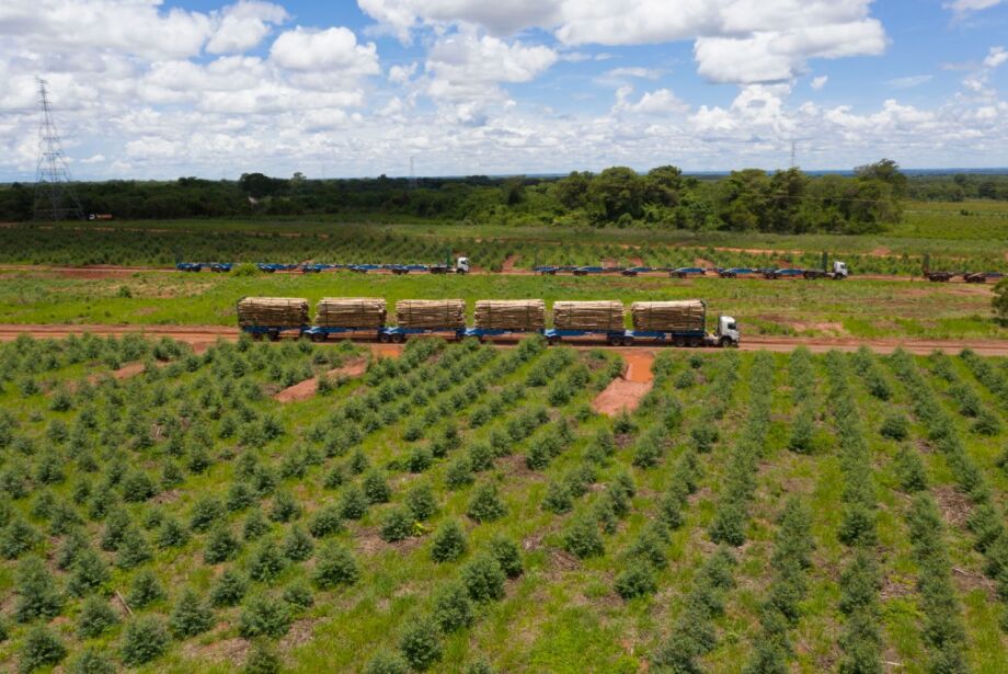 Suzano implanta megaestrutura para viabilizar uso de hexatrens em Ribas