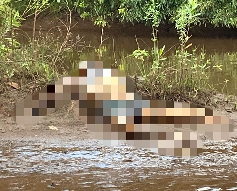 Corpo é encontrado em estado de decomposição no Rio Pardo em Ribas do Rio Pardo