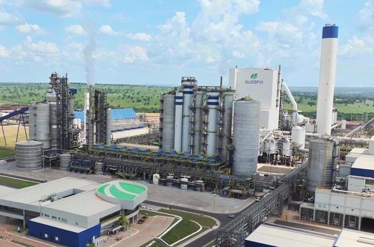 Suzano e UEMS abrem seleção com 40 vagas para curso de tecnólogo em Silvicultura em Ribas do Rio Pardo (MS)