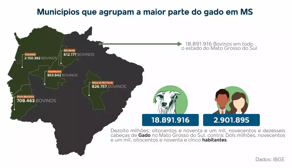 Mais bois do que gente: em MS, para cada habitante há 6 cabeças de gado