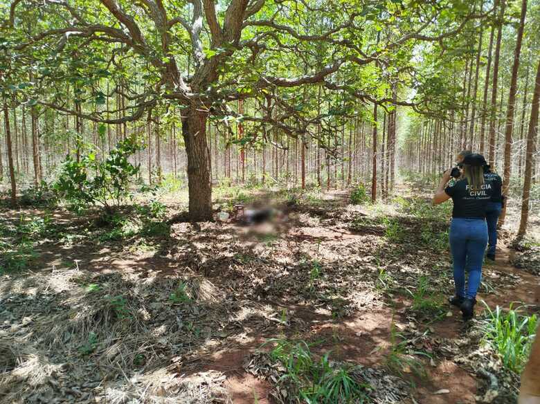 Motociclista encontra corpo de homem em plantação de eucalipto