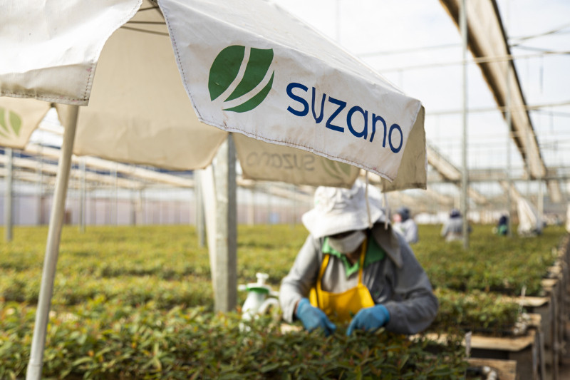 Suzano abre dez processos seletivos para operações em Mato Grosso do Sul