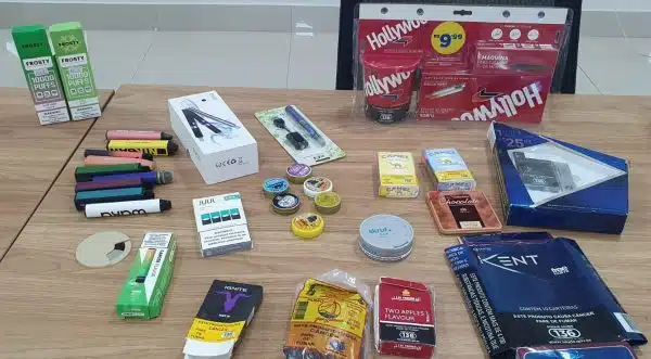 SES promove Workshop com foco nos municípios da Costa Leste e Rota da Celulose