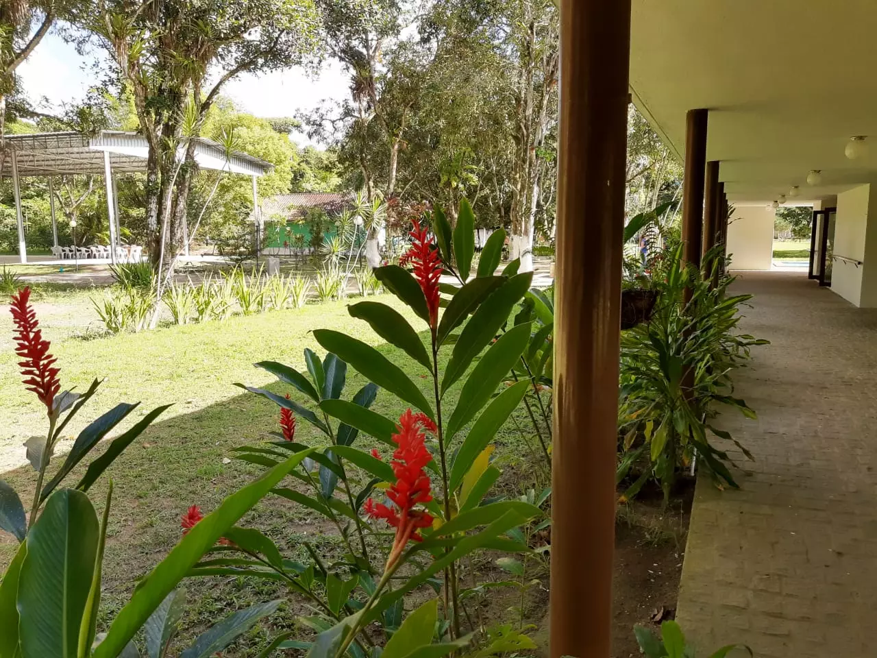 Clínica de Recuperação em Camaragibe - PE