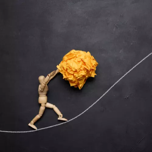 A importância de ser resiliente A importância de ser resiliente