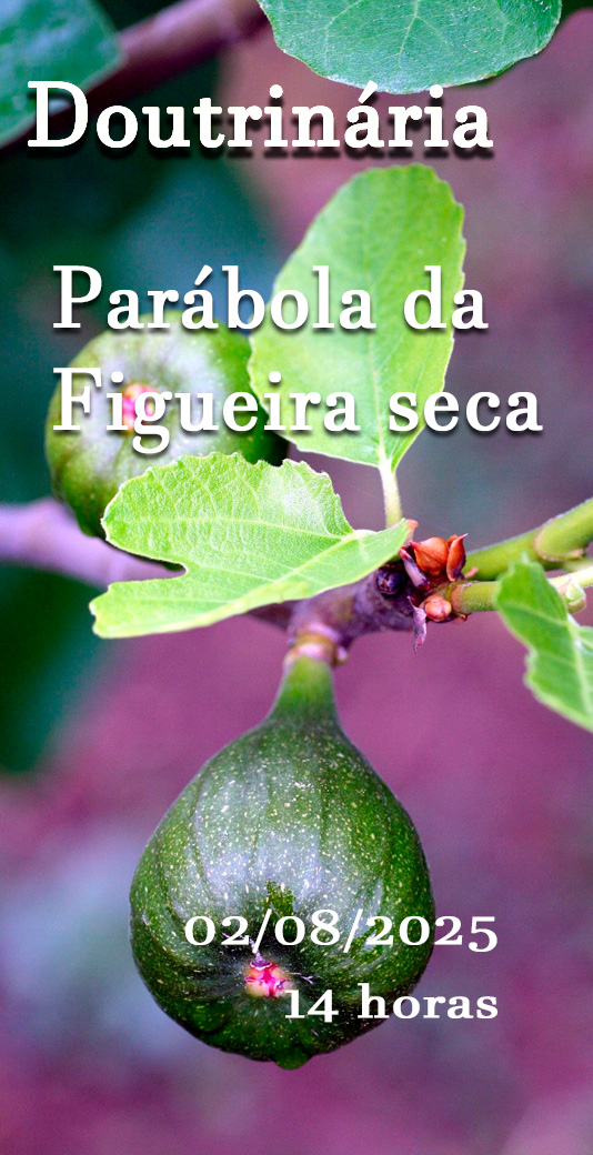 Parábola da Figueira seca