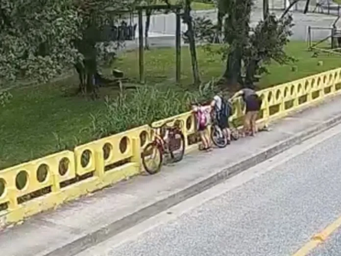 Mulher é condenada à prisão por maus-tratos a cão no Norte de Santa Catarina