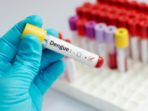 Saúde de Jaraguá do Sul intensifica combate à dengue e reativa Centro de Atendimento