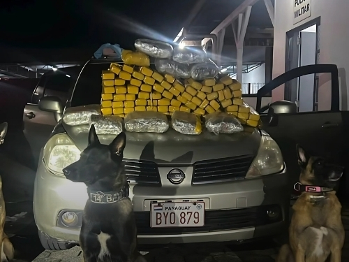 Polícia Militar apreende mais de 60 quilos de drogas em Corupá