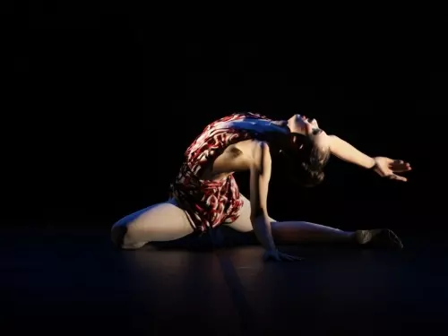 Festival de Dança de Joinville inicia venda de ingressos para a 42ª edição
