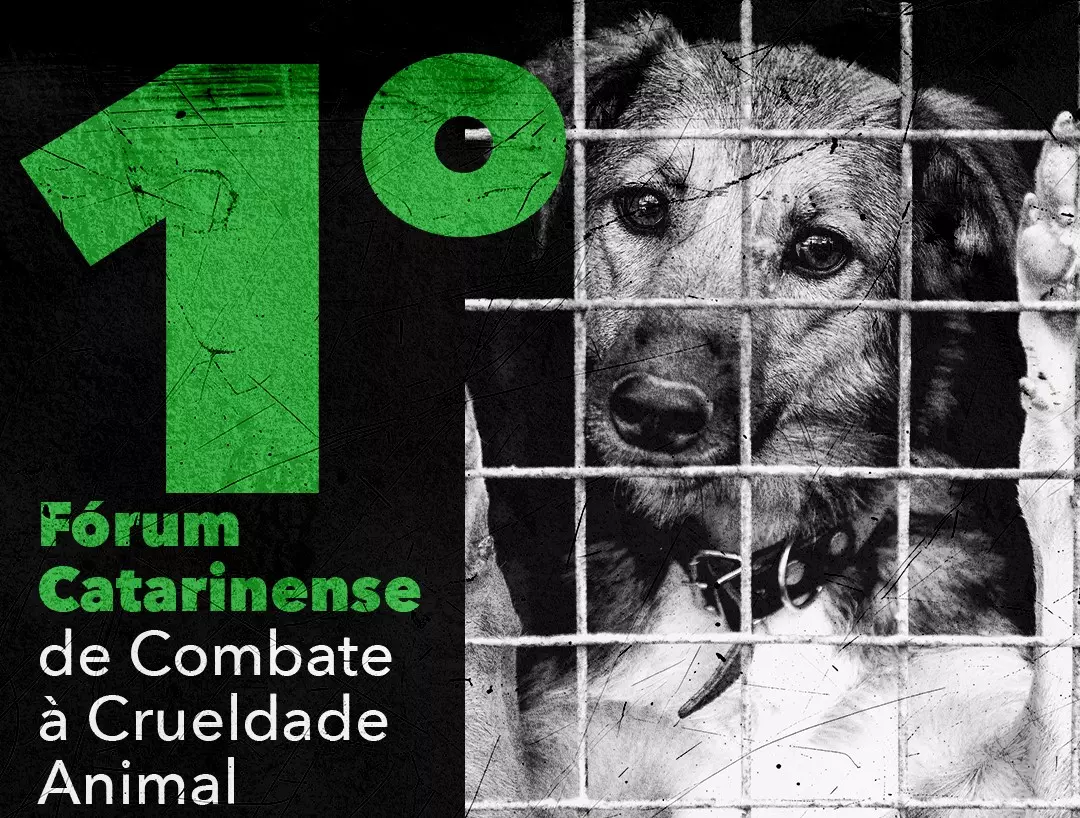 Santa Catarina promove 1º Fórum de Prevenção da Crueldade Animal e lança programa Pet Levado a Sério