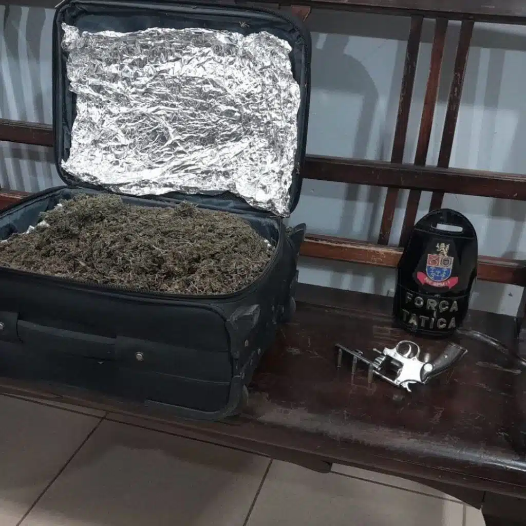 Mala recheada de maconha foi encontrada pela Força Tática