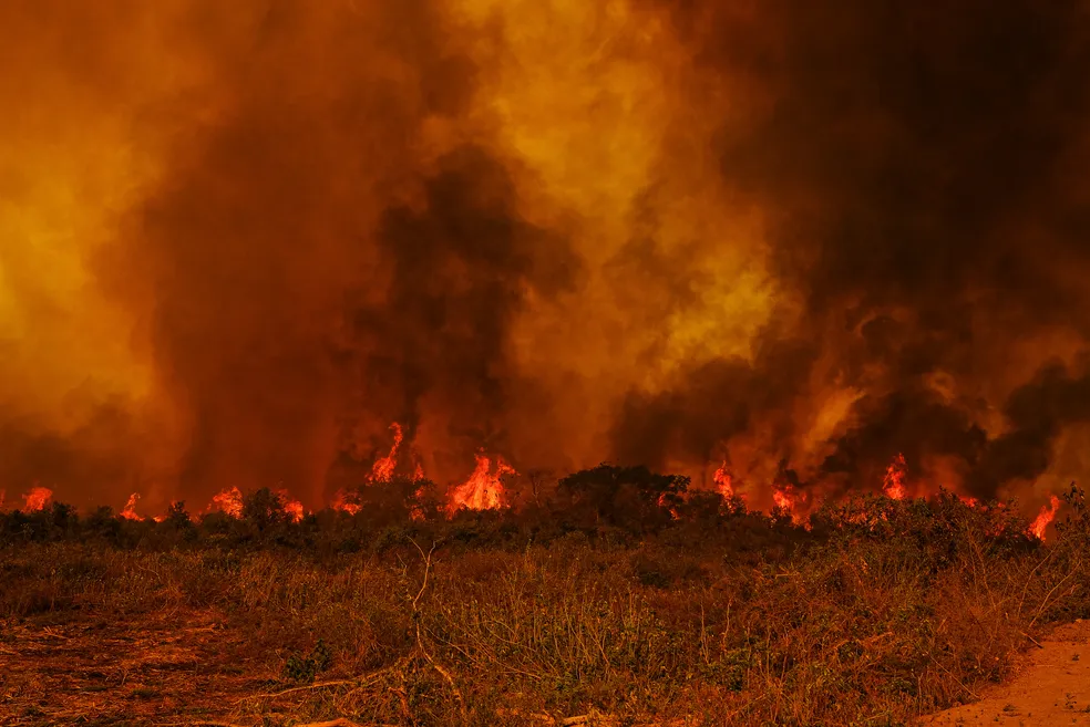 Queimadas provocaram interrupção no fornecimento de energia em São Carlos e região