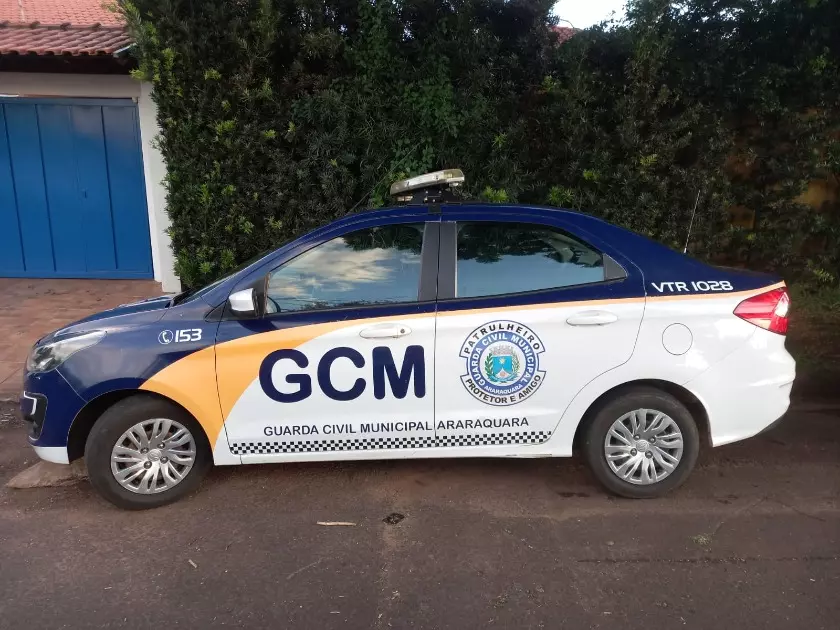 Ladrão ao tentar assaltar casa sofre ferimentos nas genitálias