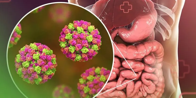 Norovírus infectou milhares de pessoas este ano