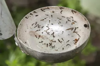 Agentes eliminaram criadouros do mosquito transmissor da dengue