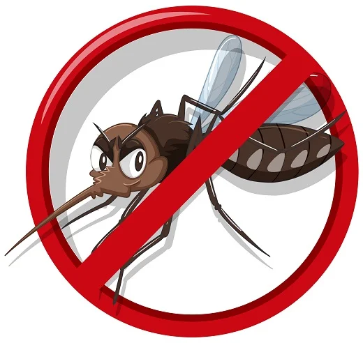 Capital do Clima está com 403 casos de Dengue em 2025