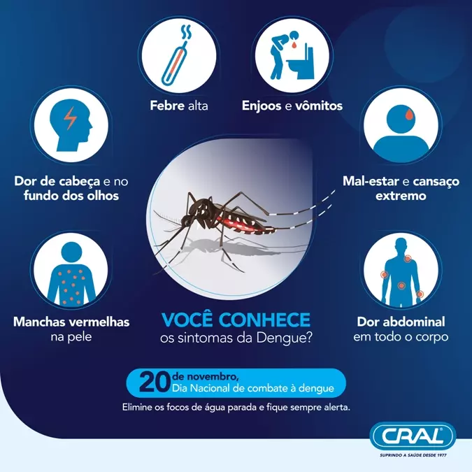 Faxina contra a Dengue recolheu toneladas de inservíveis