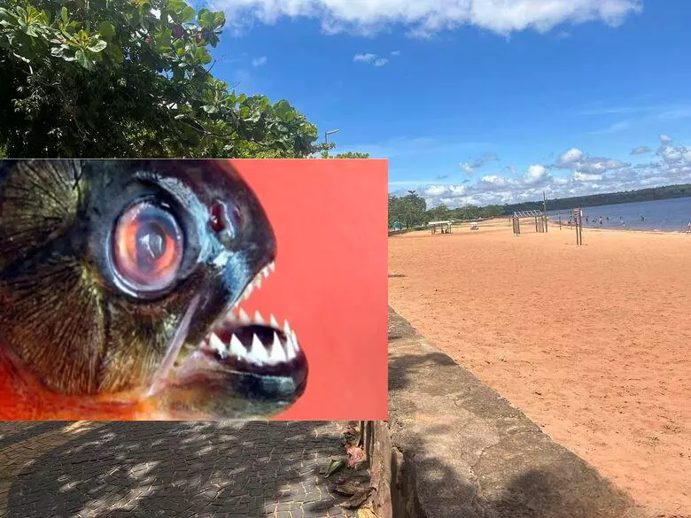 Caça as Piranhas – Cerca de 400 pescadores estão inscritos