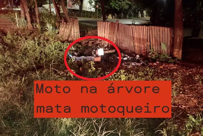 Motoqueiro morre após colidir em árvore