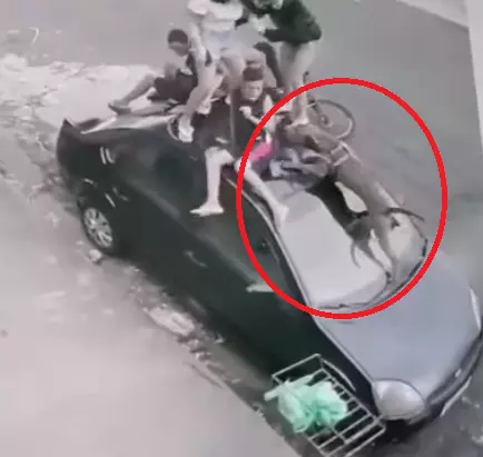 Video - Adolescentes tiveram que subir no capô do carro para escapar do Pitbull