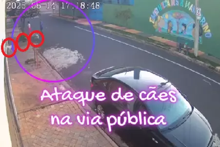ImagemInicial