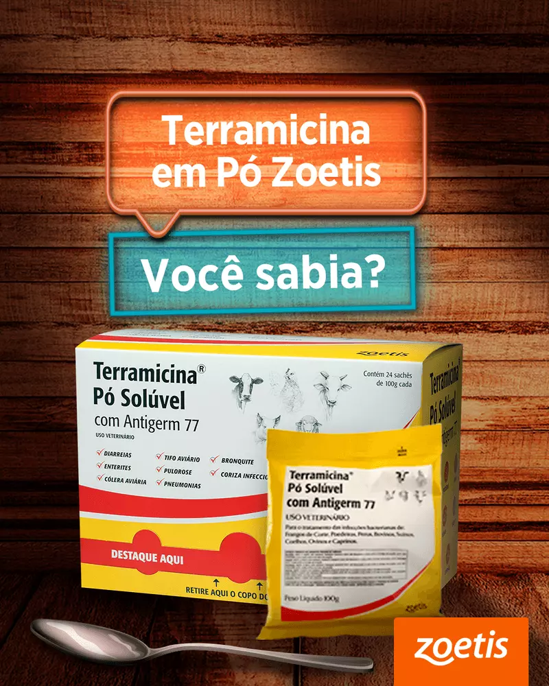 Imagem Segundaria do Produto