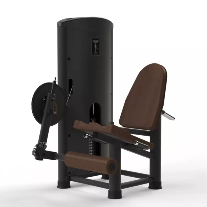 Extensor MX 1014 Plus