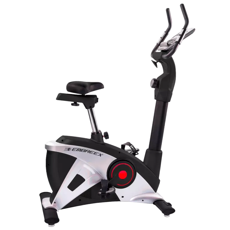 BIKE 309