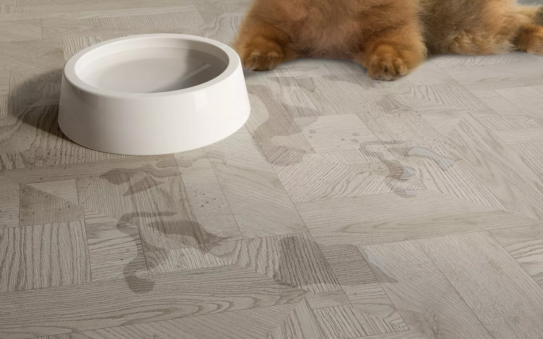 Imagem Segundaria do Produto