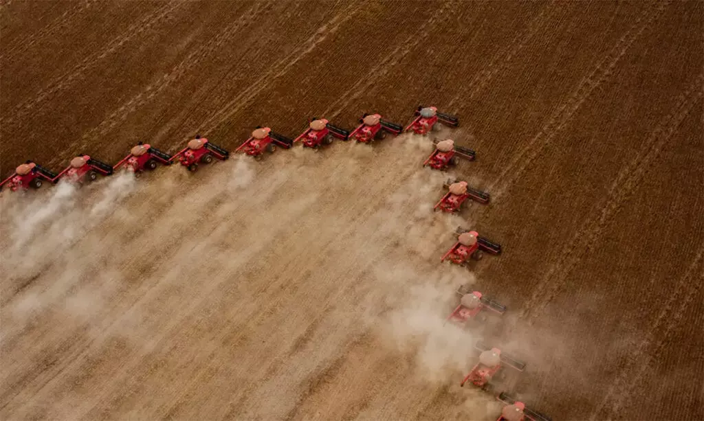 As Engrenagens Mundiais Assentadas na Lógica do Lucro Nos Levaram ao Colapso Climático As Engrenagens Mundiais Assentadas na Lógica do Lucro Nos Levaram ao Colapso Climático